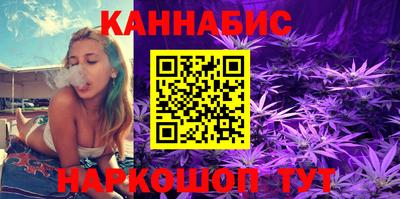гидра Моздок