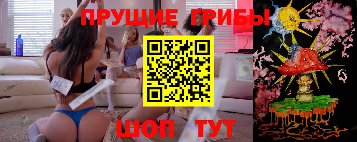 Таганрог  Псилоцибиновые грибы Cubensis  Вход с VPN 